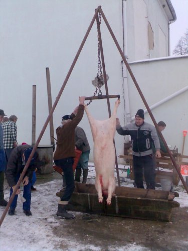 Vepřové hody - 29.12.2006